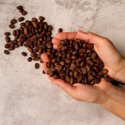 Mujer con café tostado, manos sostienen café tostado, granos de café tostado
